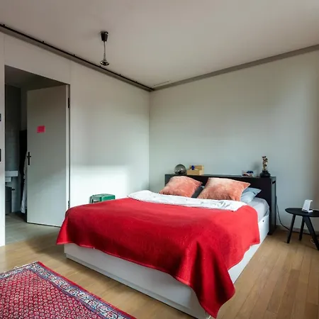 Appartamento Art Loft Downtown Zurigo